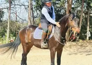 Yegua de salto de 5 años con genética de élite y gran proyección