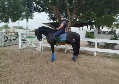 PPE con pasaporte. 6 años. Buen carácter.